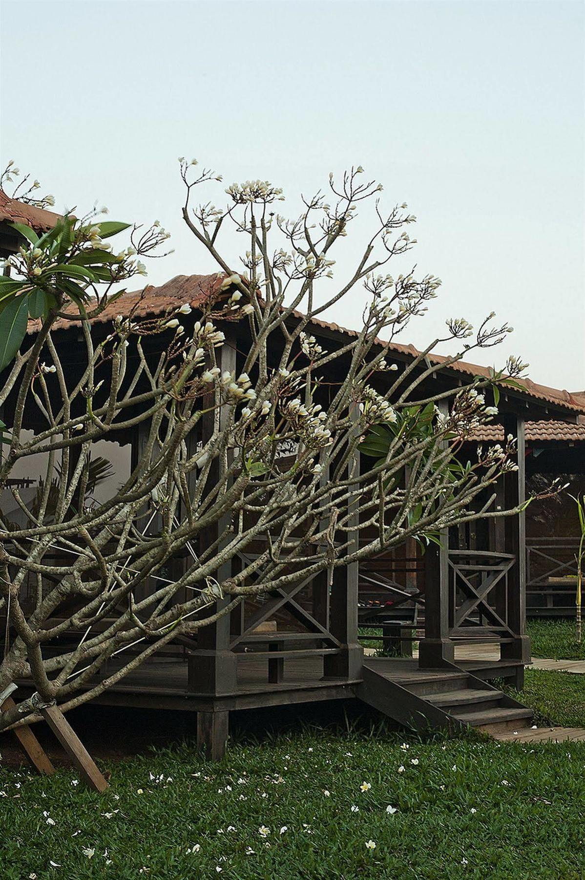 Ecowoods Village Spa & Yoga Retreat Morjim Bagian luar foto